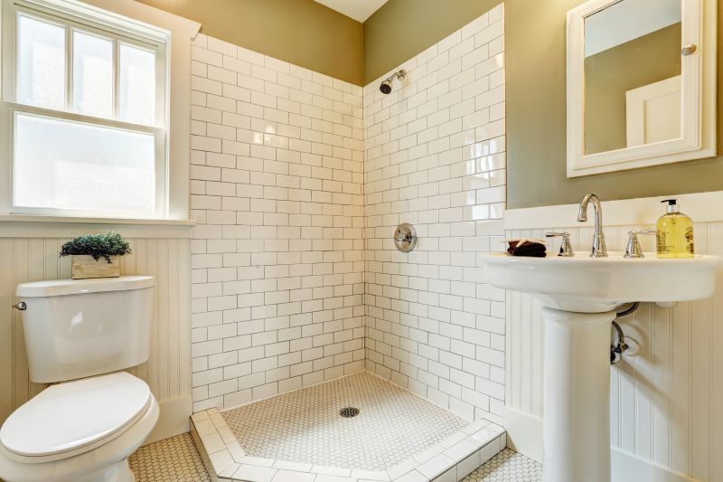 Professional Bathroom Renovation